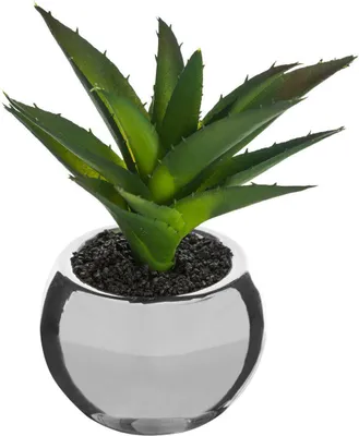 Produktbild von Grünpflanze keramiktopf h.15 - Atmosphera créateur d'intérieur