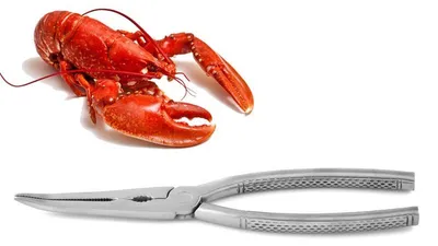 Image de Karl Weis Pince à homard, acier inoxydable, 20,7 x 4,5 x 1 cm, 192,8 g