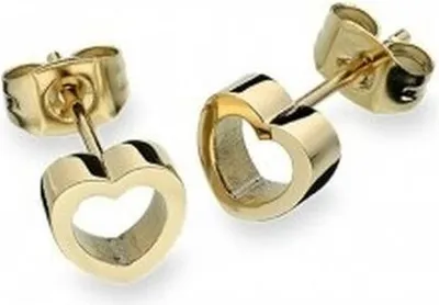 Immagine prodotto di Orecchini da donna AN Jewels AL.ESC01Y