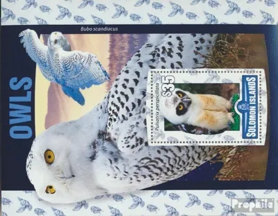 Produktbild von Briefmarken Salomoninseln 2016 Mi Block 494 (kompl. Ausg.) postfrisch Eulen
