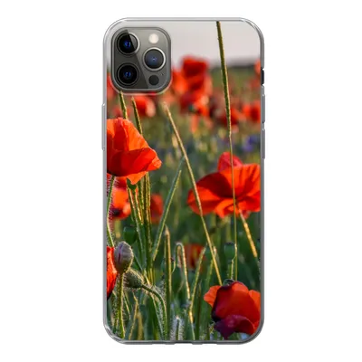 Produktbild von MuchoWow® Handyhülle Schutzhülle Hülle für iPhone 12 Pro Max Blumen - Mohnblumen - Natur - Rot Silikon Softcase Handy Hülle - Hartschale