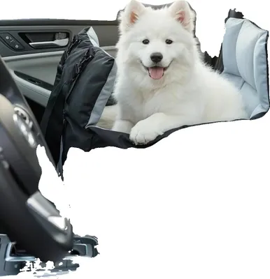 Immagine prodotto di Sedile per cani, cintura di sicurezza, tasche portaoggetti, nero