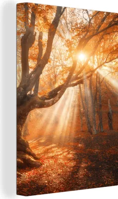 Produktbild von MuchoWow® - Leinwandbilder - Baum - Natur - Herbst, Wandbild, Wanddeko Bilder Wohnzimmer, 80x120 cm
