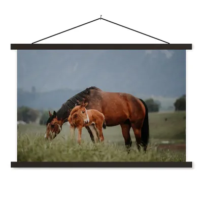 Produktbild von MuchoWow® Textilposter Pferde - Fohlen - Natur 90x60 cm mit schwarzem Rahmen - Aufhängungssatz
