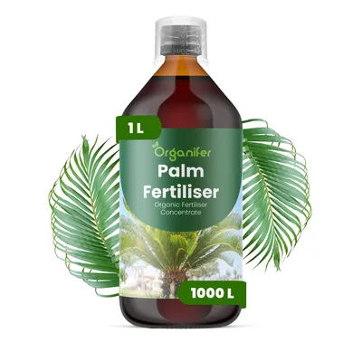 Obrázek produktu pro Palmy Tekuté Hnojivo 1 L – 2-1-8 NPK – Pro Palmy – Podporuje Silný Růst & Bujné Lístie – Organifer