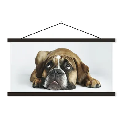 Produktbild von MuchoWow® Textilposter Hund - Haustiere - Weiß 150x75 cm mit schwarzem Rahmen - Posterleiste