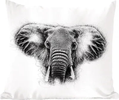 Produktbild von MuchoWow® Zierkissen Sofakissen Wohnzimmer Dekokissen 45x45 cm Elefant - Tiere - Schwarz - Weiß - Schlafpolster - Polster für das Sofa
