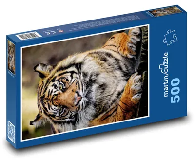 Obrázok produktu pre Puzzle 500 Sumatriansky tiger - divoký dravec - martinpuzzle