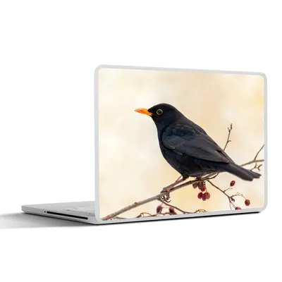 Produktbild von MuchoWow® Laptop Aufkleber Sticker Cover Amsel - Vogel - Zweige - Beere - Rot 31x22.5 cm - Laptop-Deko