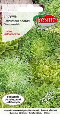 Produktbild von Samen der Sorte Endivie Mix 2g - Torseed