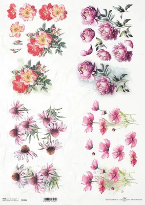 Zdjęcie produktu dla Papier ryżowy do decoupage A3 ITD-1088L peonia, warszawianka, kosmos pierzasty, dzika róża