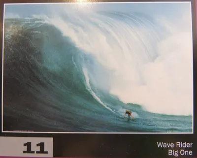 Produktbild von Poster Surfing Wave Rider * 11
