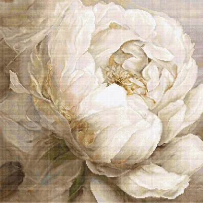 Produktbild von Letistitch Kreuzstich Stickpackung "Pfingstrose", Zählmuster, 35x35cm
