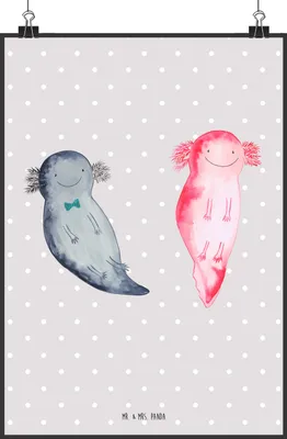 Produktbild von Mr. & Mrs. Panda Bild Axolotl Freundin DIN A1 - Grau Pastell - Geschenk, wanddeko, Lurch, wandkunst, Wandbild, Plakat, Valentinstag, drucke, Liebe