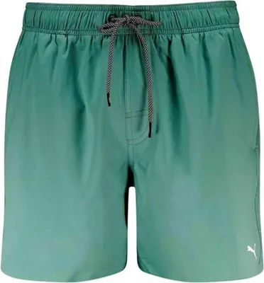 Zdjęcie produktu dla Kąpielówki Puma 100000031-040 dla Uni