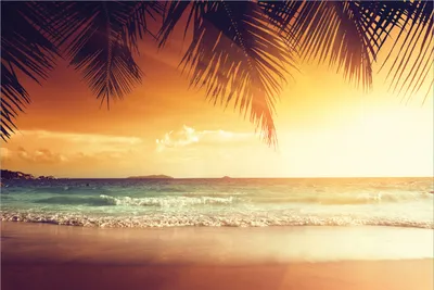 Produktbild von Wallario Premium Vliestapete Fototapete Sonnenuntergang am Strand in der Karibik in der Größe 400 x 267 cm, extra dick, wird in 5 Teilen geliefert