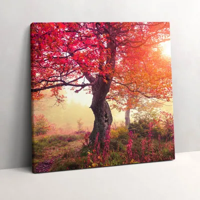 Produktbild von Autumn trees – Leinwandbild Wandbild – 60x60 cm – Leinwandbilder – Wandbilder – Schlafzimmer – Flur