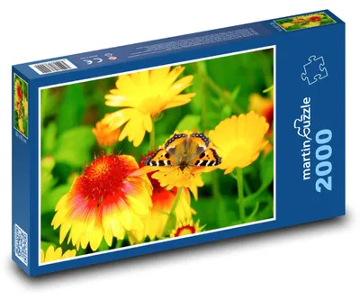 Zdjęcie produktu dla Puzzle 2000 Motyl na kolorowych kwiatach - martinpuzzle