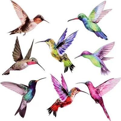 Produktbild von Famanu Fensteraufkleber Kolibri bunt - 8 Stück für Vogelschutz und Dekoration