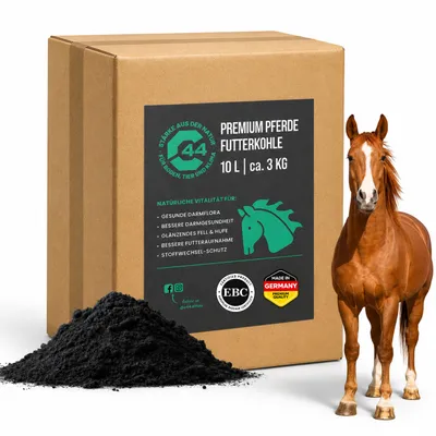 Produktbild von Futterkohle für Pferde 10L - EBC-er Hochwertige Pflanzenkohle zur Unterstützung der Verdauung & Darmflora bei Pferden | C44-Zittau