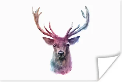 Produktbild von MuchoWow® Poster Rotwild - Farbe - Farben 90x60 cm - Schlafzimmer