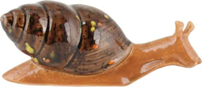 Produktbild von Tangoo Keramik Schnecke mit braunem Haus