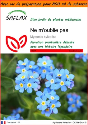 Image de SAFLAX Garden in the bag - Ne m'oublie pas - 150 graines - Myosotis