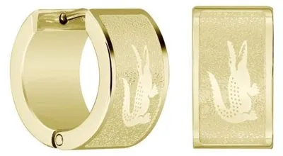 Immagine prodotto di Orecchini a cerchio placcati oro Backhand 2040436