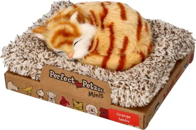 Produktbild von Perfect Petzzz Kleines gestromtes Kätzchen 13 cm