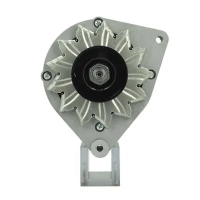 Produktbild von BV PSH 815.013.055.010 Lichtmaschine Generator LiMa 55A 12V