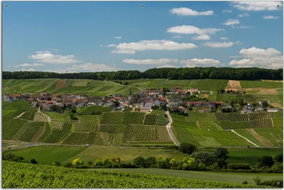 Produktbild von Wallario Outdoor-Poster für Garten oder Balkon, Motiv Panoramablick über die Champagne, in ca. 61 x 91,50 cm