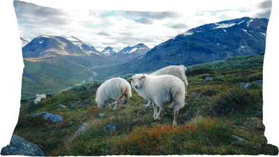 Produktbild von MuchoWow® Zierkissen Sofakissen Wohnzimmer Dekokissen 50x30 cm Schafe - Natur - Berge - Wohnzimmerdekoration - Polster mit Photo