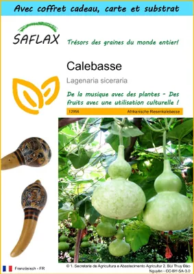 Image de SAFLAX Ensemble-cadeau - Calebasse - 15 graines - Lagenaria
