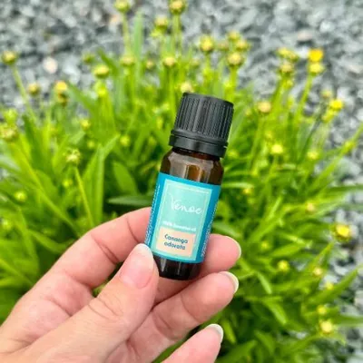 Produktbild von Ätherisches Öl Ylang-Ylang Venoc 10 ml
