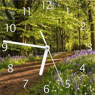 Produktbild von Wallario Design Wanduhr Blaues Hasenglöckchen im Sommerwald aus Echtglas, Größe 20 x 20 cm