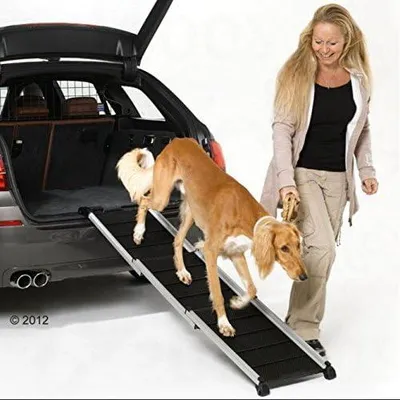 Produktbild von Zusammenklappbare Alu-Teleskoprampe für Hunde bis 85 kg - ideal für den Ein- und Ausstieg aus dem Auto