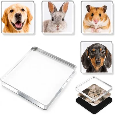 Productafbeelding van Magneten van 5 x 5 cm om zelf vorm te geven - Set van 30 - Acrylmagneten om te plakken - Fotomagneten zelf vorm