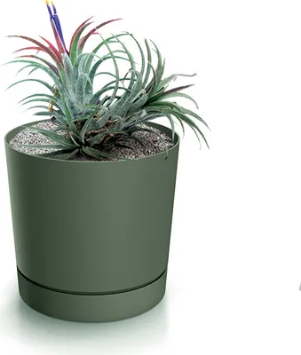 A green planter with a plant and a saucer, isolated on a white background.