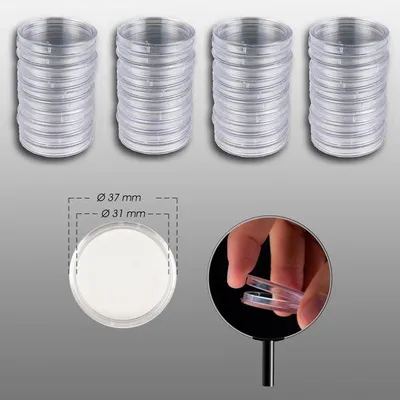 Produktbild von Prophila Collection 40 Münzkapseln 31 mm Durchmesser z. B. für 10 MK DDR, US Half $ Kennedy