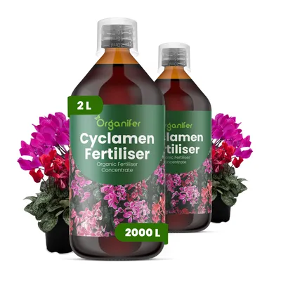 Produktbild von Alpenveilchen Flüssigdünger 2x1L – 2-1-8 NPK – Flüssigdünger Für Blühpflanzen – Für Blätter & Üppige Blüte – Fördert Wurzeln & Vitalität – Organifer