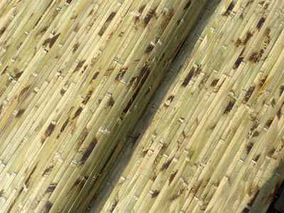 Produktbild von Wandverkleidung aus massiven Bambuslatten - Natur Roll Laminat in verschiedenen Musterungen Grün getigert Höhe: 150 cm / 1 Stk. = 1 Meter