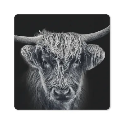 Produktbild von MuchoWow® Mauspad Mousepad Schottischer Highlander - Schwarz - Kuh - Tiere 30x30 cm - Mousepads - Maus Mat - Pad - Mausunterlage - Gaming