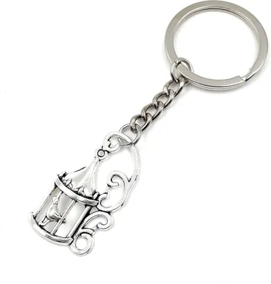 Image de Onwomania Perruche oiseau cage Porte-clés métal porte-bonheur dans boîte cadeau alu, idéal pour offrir