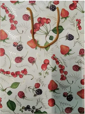 Obrázek produktu pro Ozdobná kabelka BXS502067 Frutta malá