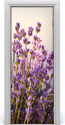 Produktbild von Tulup Türaufkleber 75x205 cm Dekorative Aufkleber Selbstklebend Wasserdichte Tapete Abnehmbar Schlafzimmer Wohnzimmer Wohnkultur - Lavendel