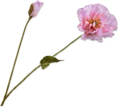 Produktbild von Kunstblume von Silk-ka – Seidenblumen-Mohnzweig, rosa-fliederfarben, 74 cm