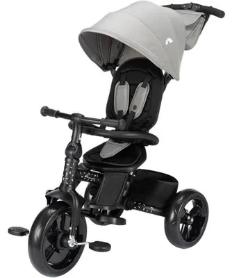 Immagine prodotto di Bebeconfort Windy, triciclo con manubrio, 10 mesi-4 anni, 0-25 kg, regolabile in base al bambino, comodo sedile reversibile, tettuccio di protezione, grigio scuro
