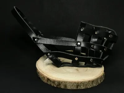 Image de Muselière en cuir Palkar pour chiens taille 3 28 cm x 8 cm noir