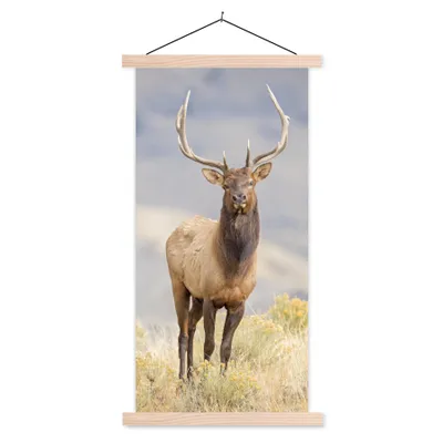 Produktbild von MuchoWow® Textilposter Hirsche - Berge - Gras 60x120 cm mit holzfarbenen Rahmen - Holz