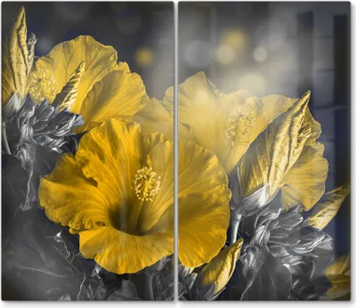 Produktbild von DEQORI Herdabdeckplatte Glas 2-tlg 'Blüten des Roseneibisch' Herd Abdeckung Küche